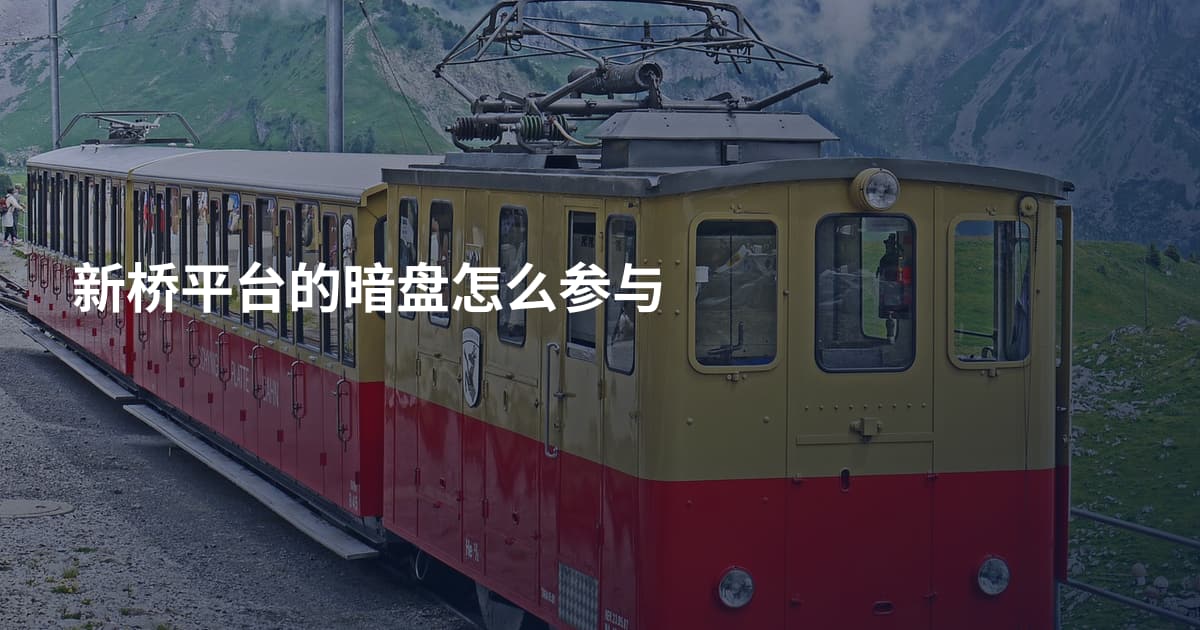 新桥平台的暗盘怎么参与