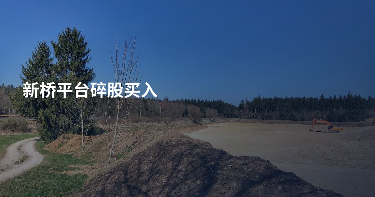 新桥平台碎股买入