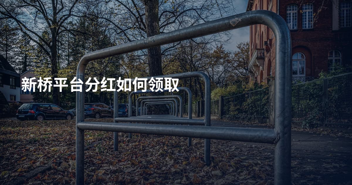 新桥平台分红如何领取