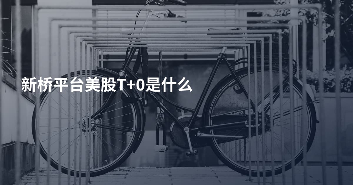 新桥平台美股T+0是什么