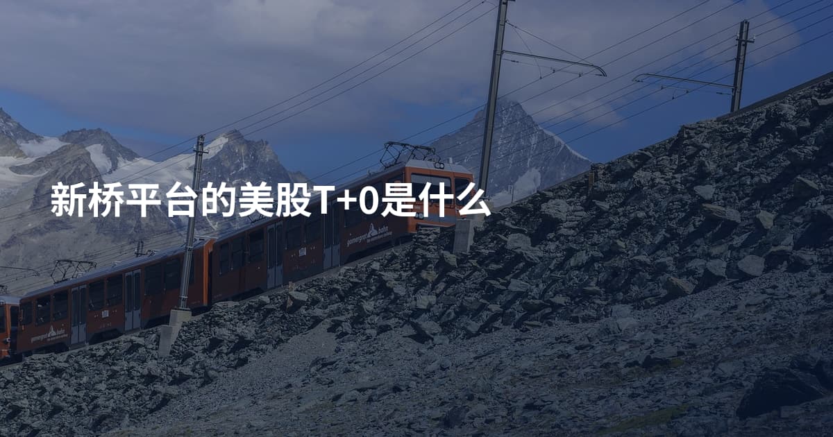 新桥平台的美股T+0是什么