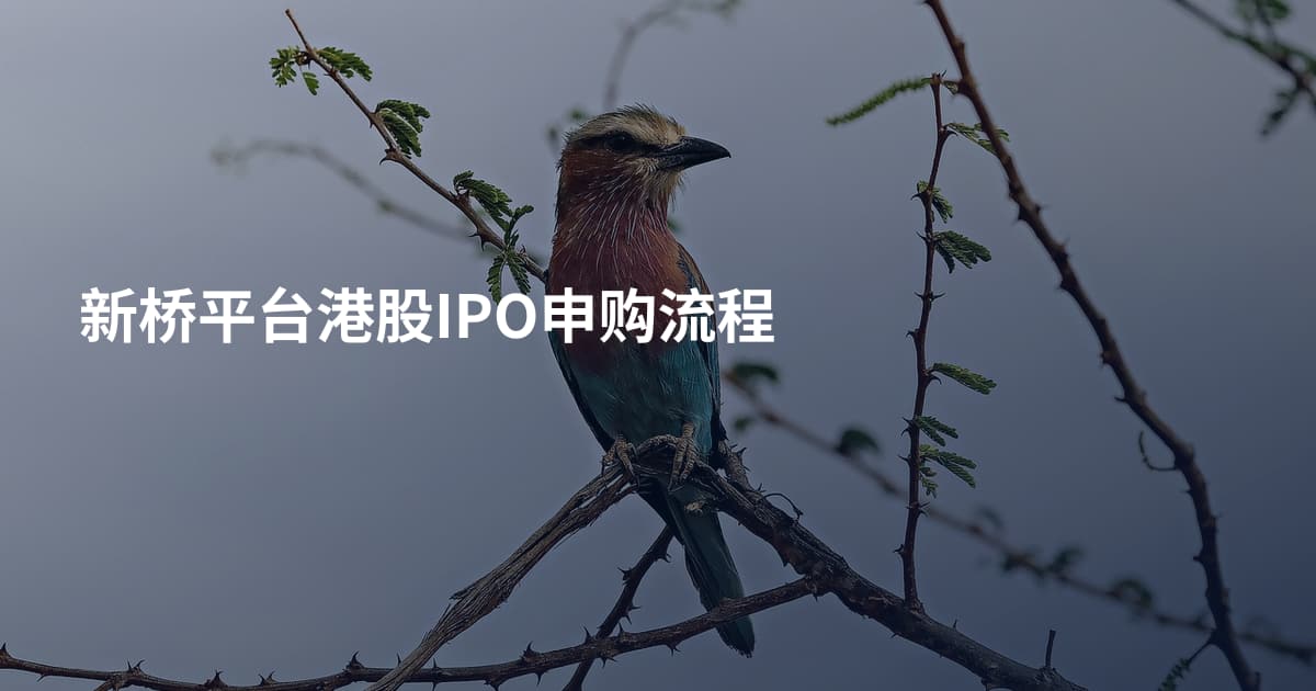 新桥平台港股IPO申购流程