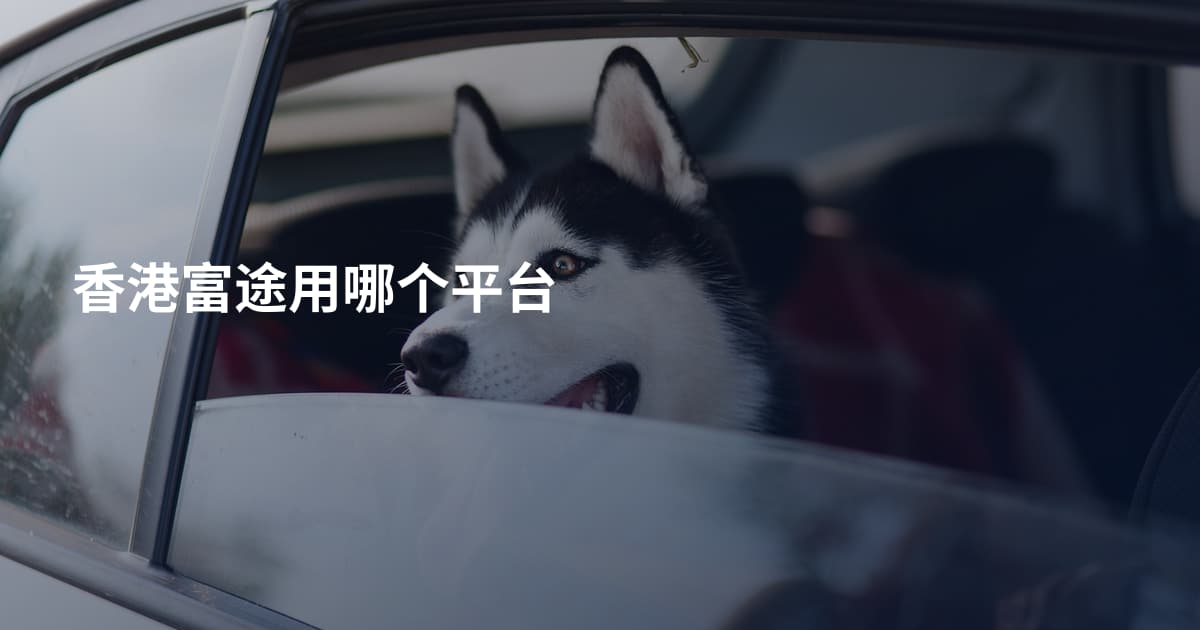 香港富途用哪个平台