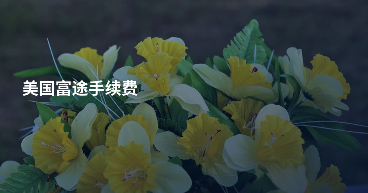 美国富途手续费