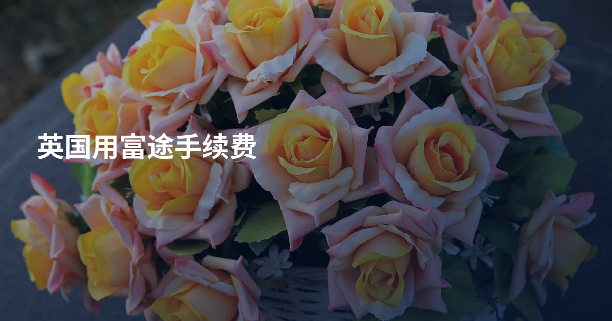 英国用富途手续费