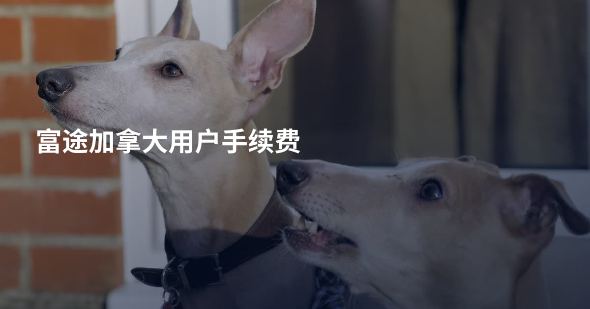 富途加拿大用户手续费