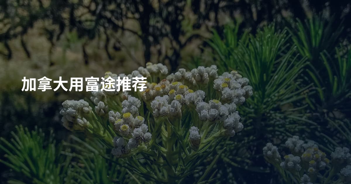 加拿大用富途推荐
