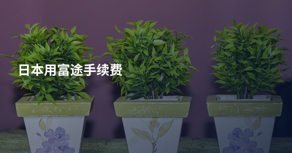 日本用富途手续费