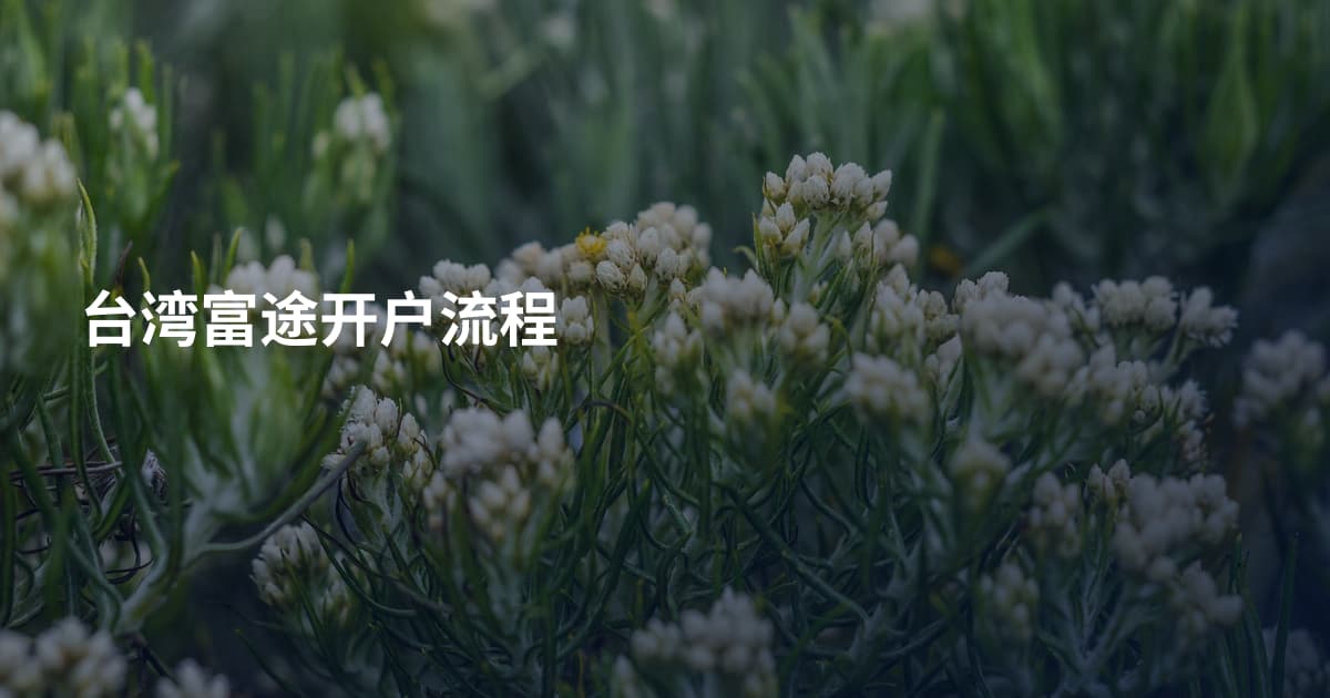 台湾富途开户流程