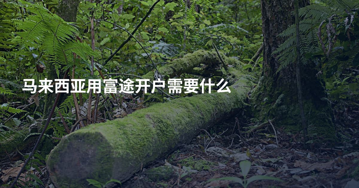 马来西亚用富途开户需要什么