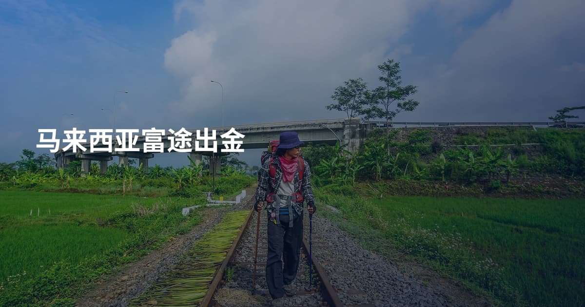 马来西亚富途出金