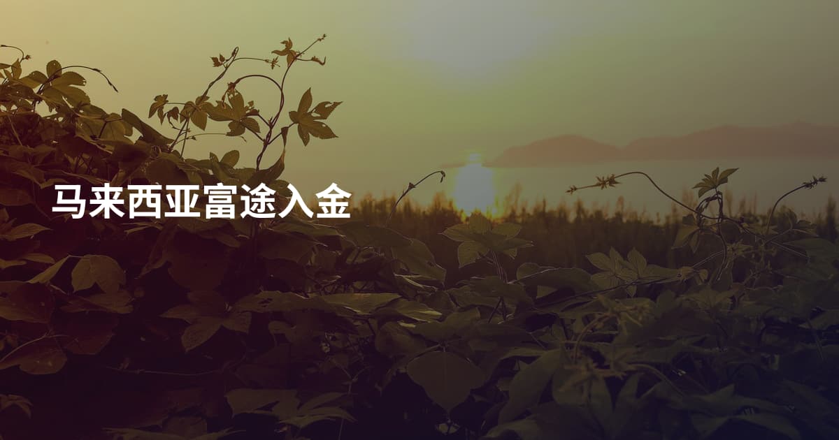 马来西亚富途入金