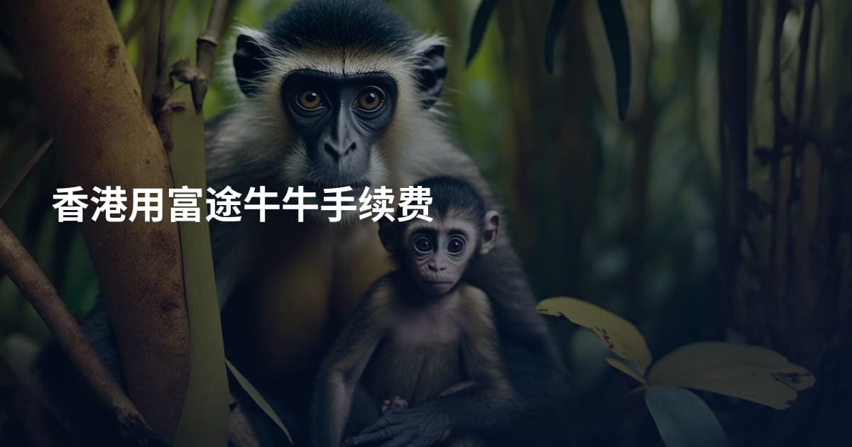 香港用富途牛牛手续费