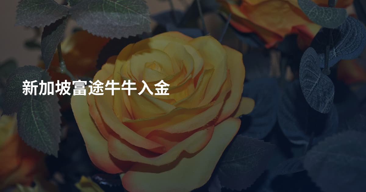 新加坡富途牛牛入金