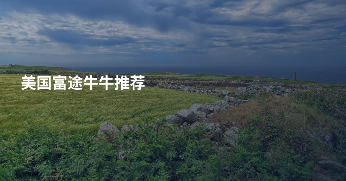 美国富途牛牛推荐