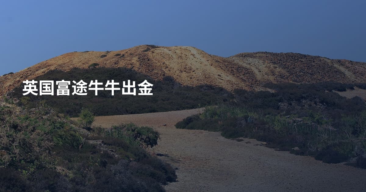 英国富途牛牛出金