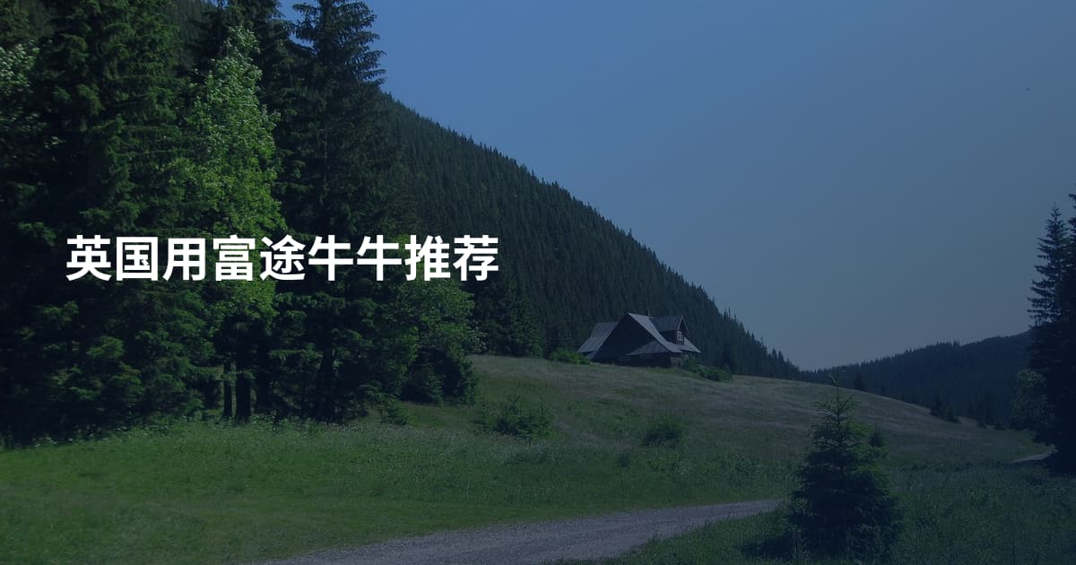 英国用富途牛牛推荐