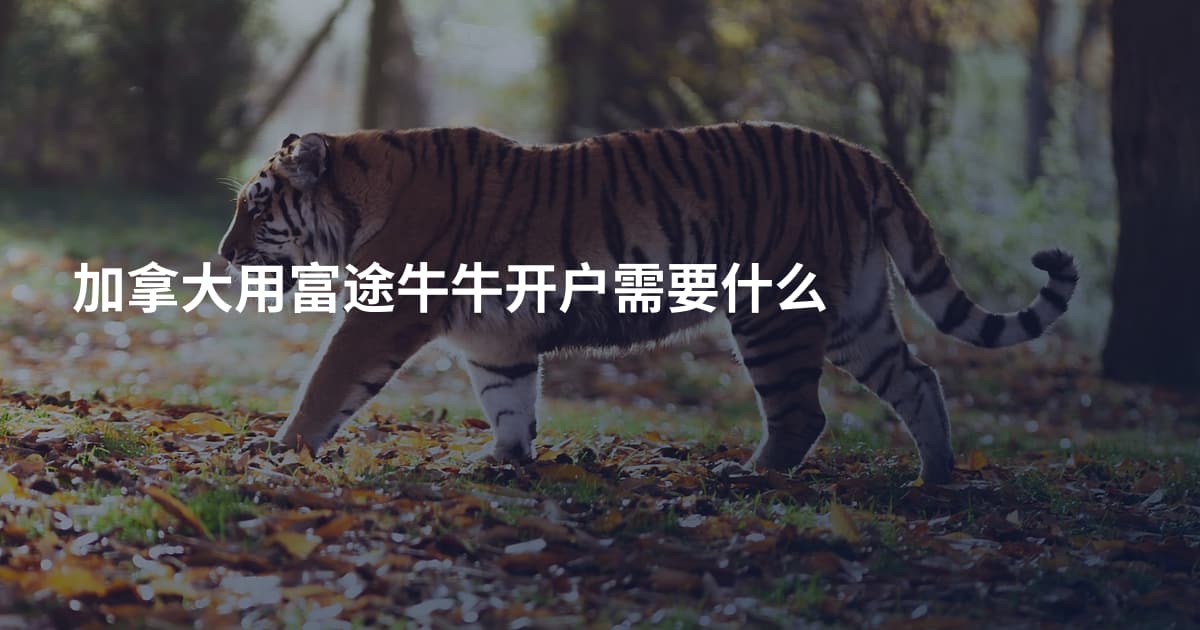 加拿大用富途牛牛开户需要什么