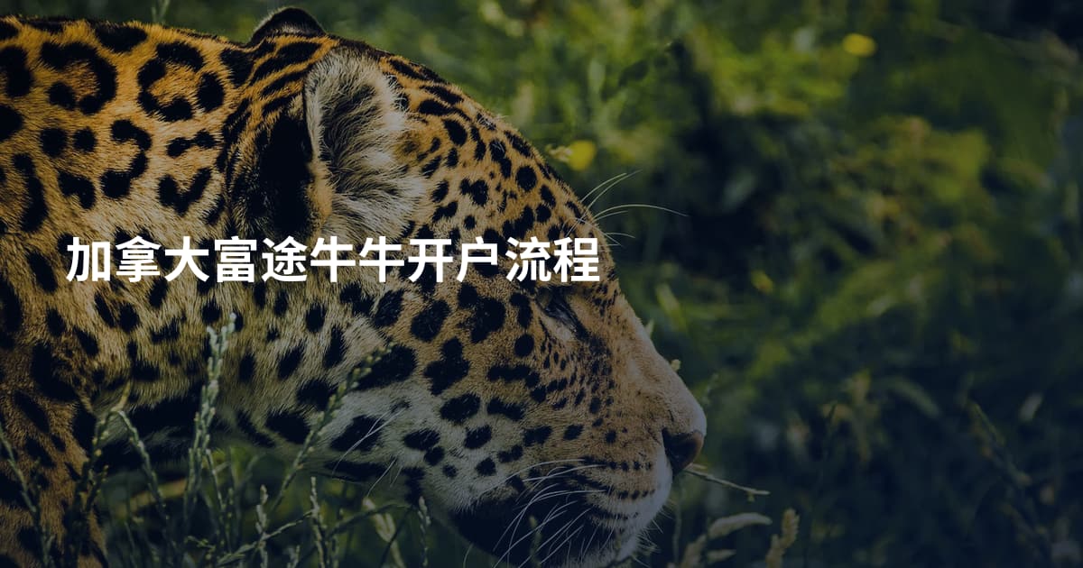 加拿大富途牛牛开户流程
