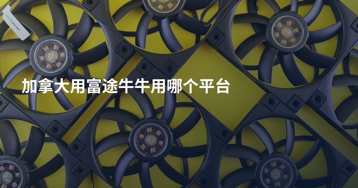 加拿大用富途牛牛用哪个平台