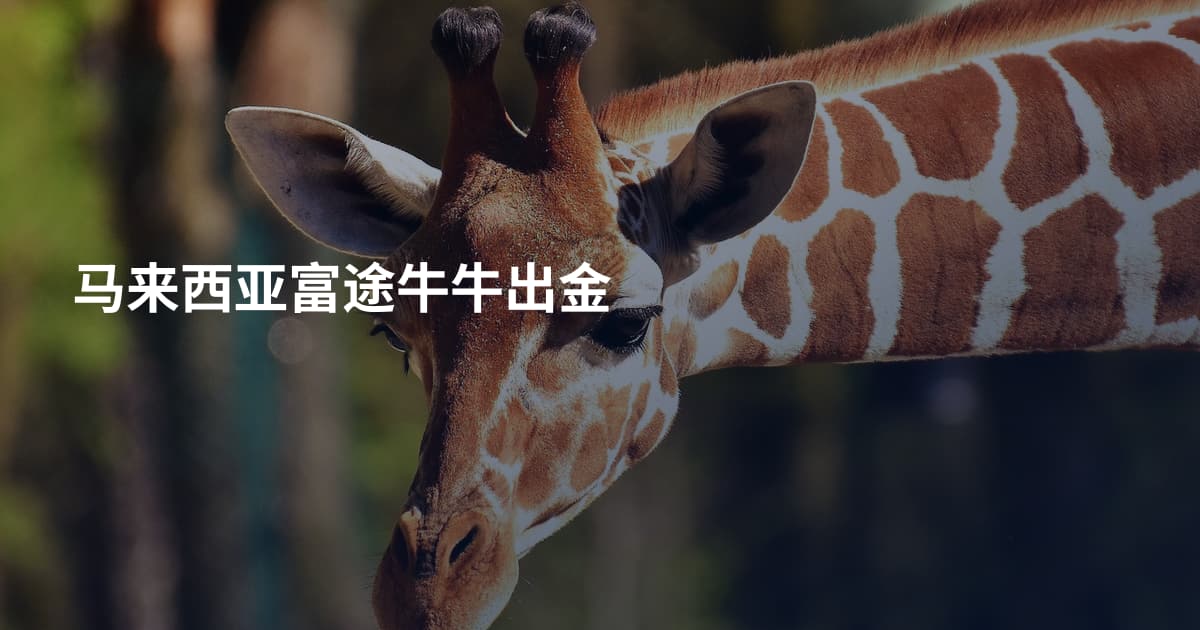 马来西亚富途牛牛出金