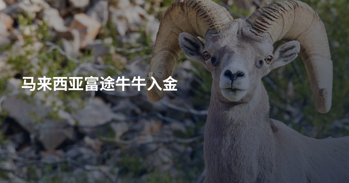 马来西亚富途牛牛入金