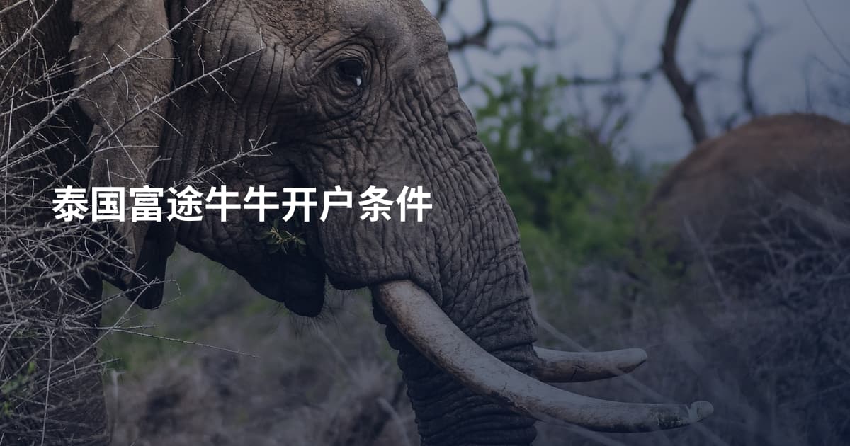 泰国富途牛牛开户条件