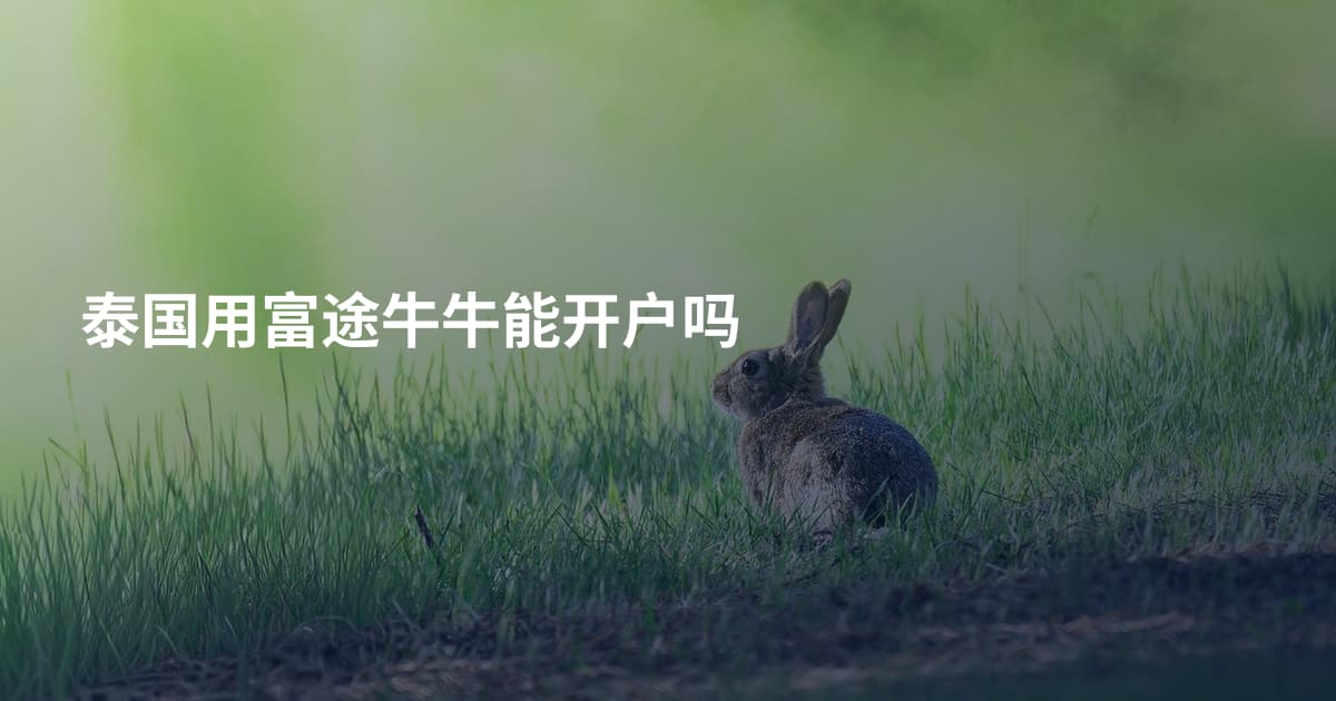 泰国用富途牛牛能开户吗