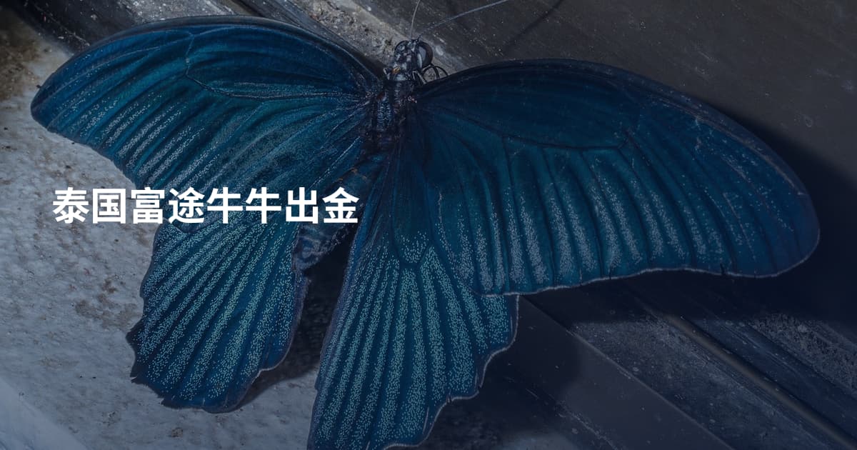 泰国富途牛牛出金