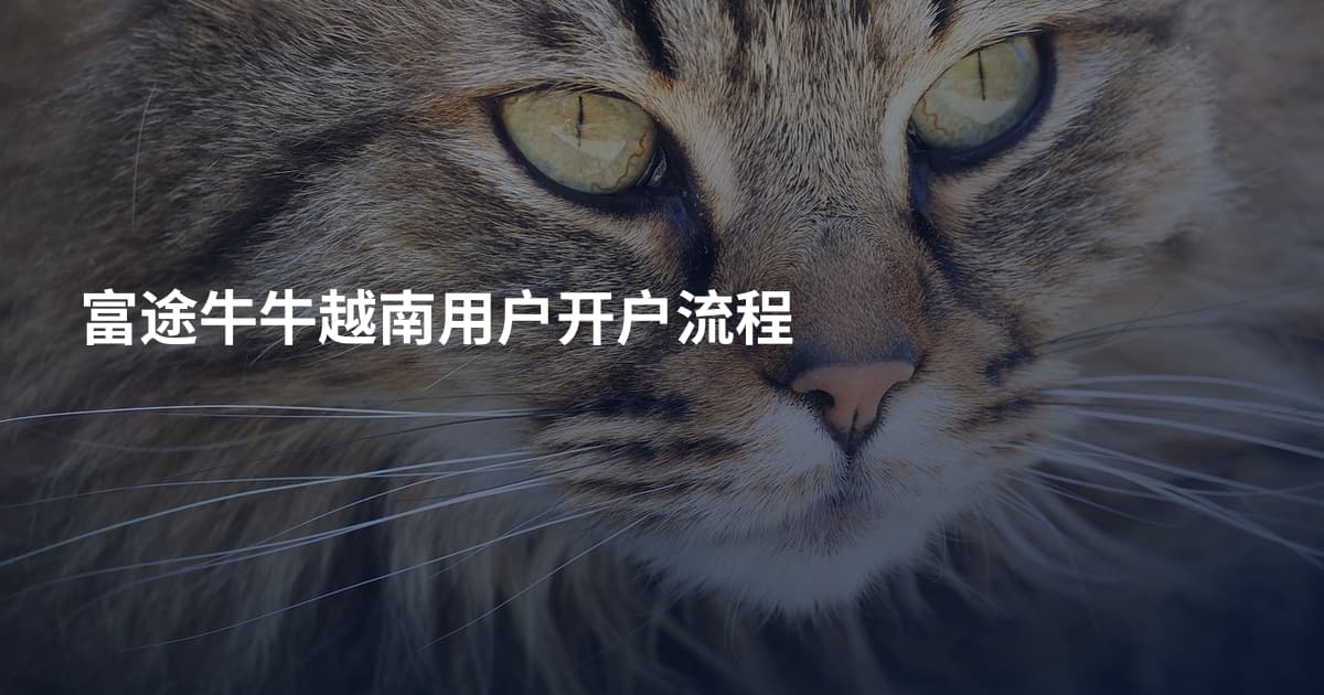 富途牛牛越南用户开户流程