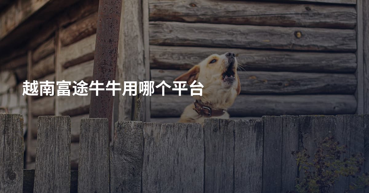 越南富途牛牛用哪个平台