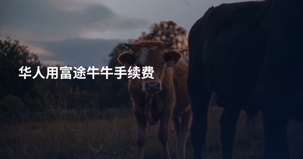 华人用富途牛牛手续费
