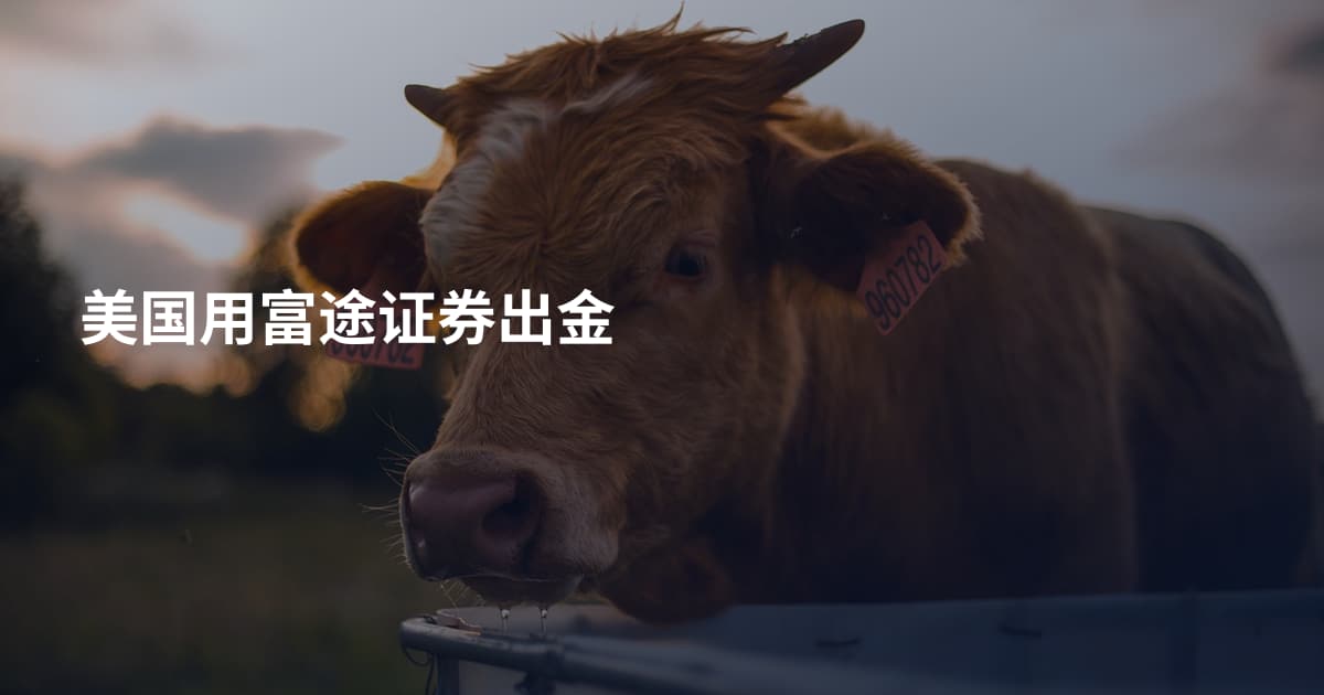 美国用富途证券出金