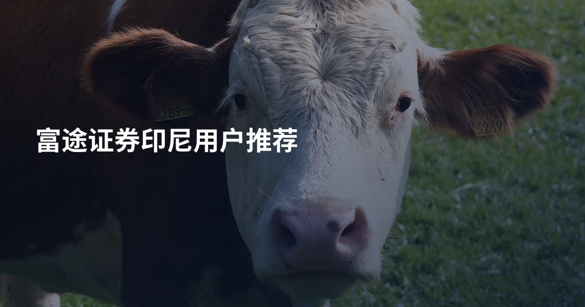 富途证券印尼用户推荐