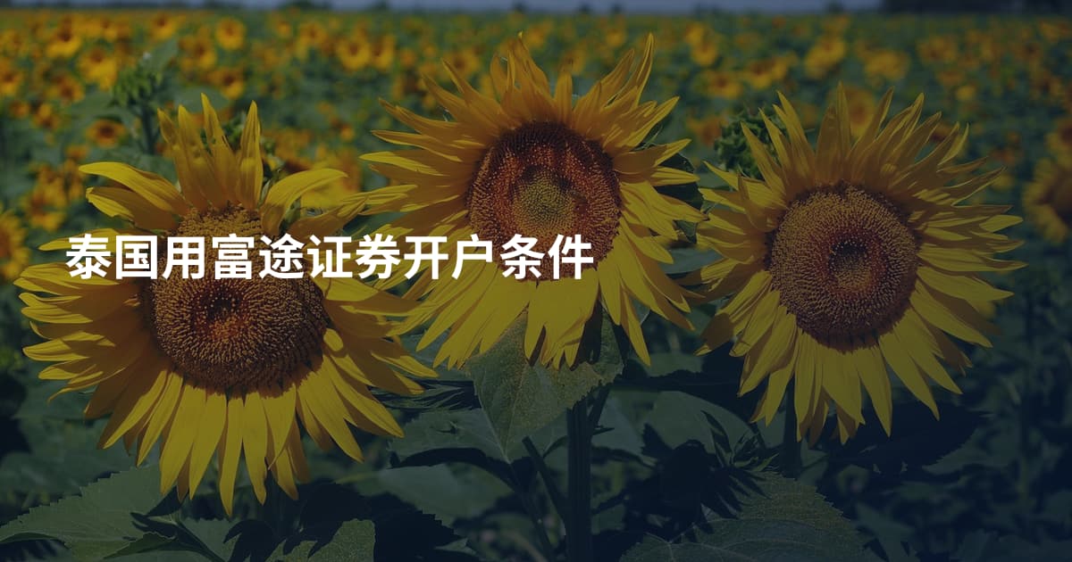 泰国用富途证券开户条件