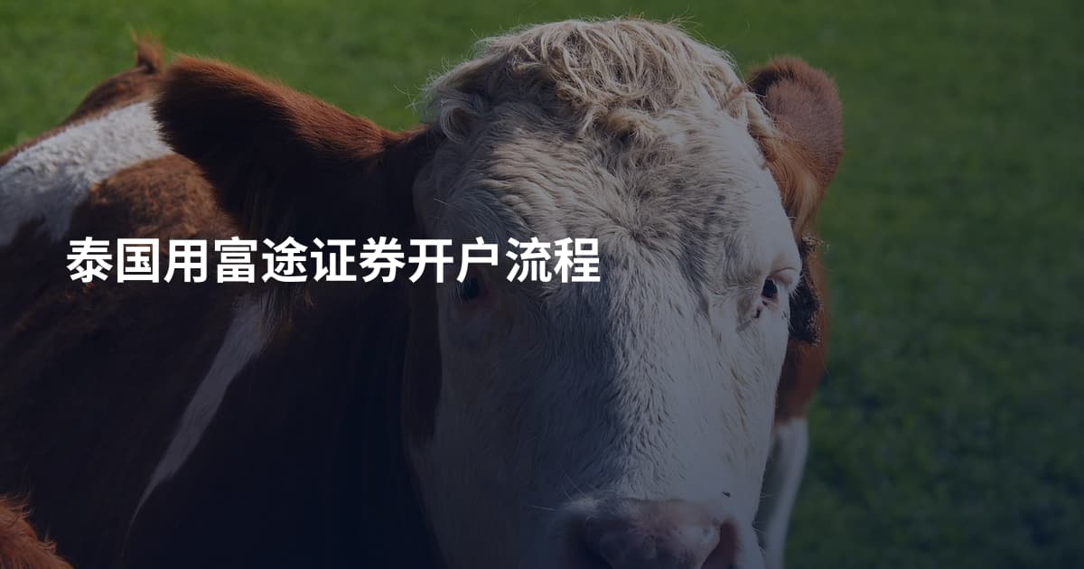 泰国用富途证券开户流程