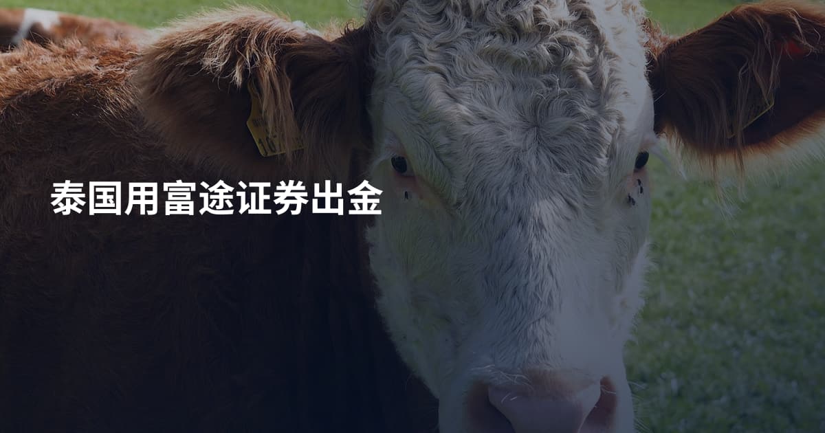 泰国用富途证券出金