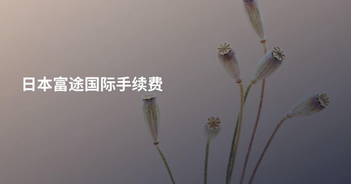 日本富途国际手续费