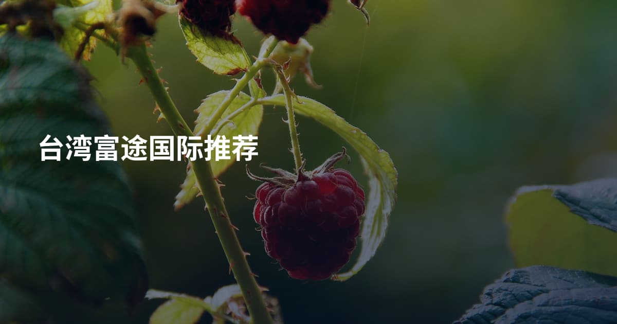 台湾富途国际推荐