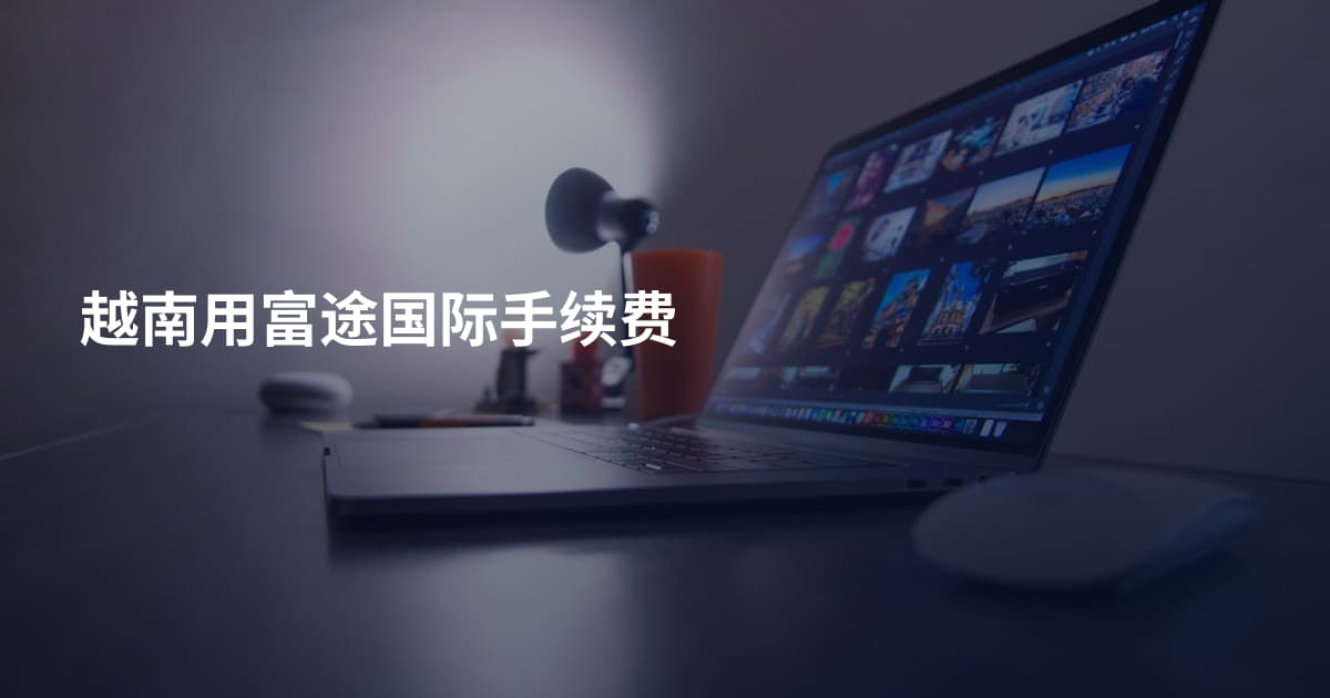 越南用富途国际手续费