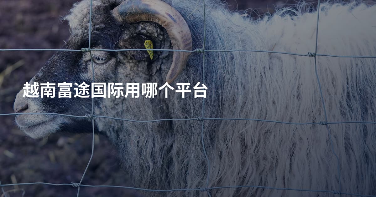 越南富途国际用哪个平台