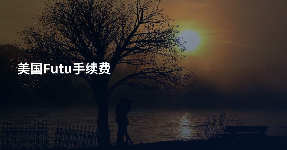 美国Futu手续费