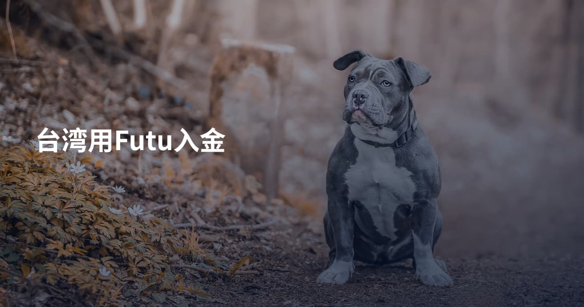 台湾用Futu入金