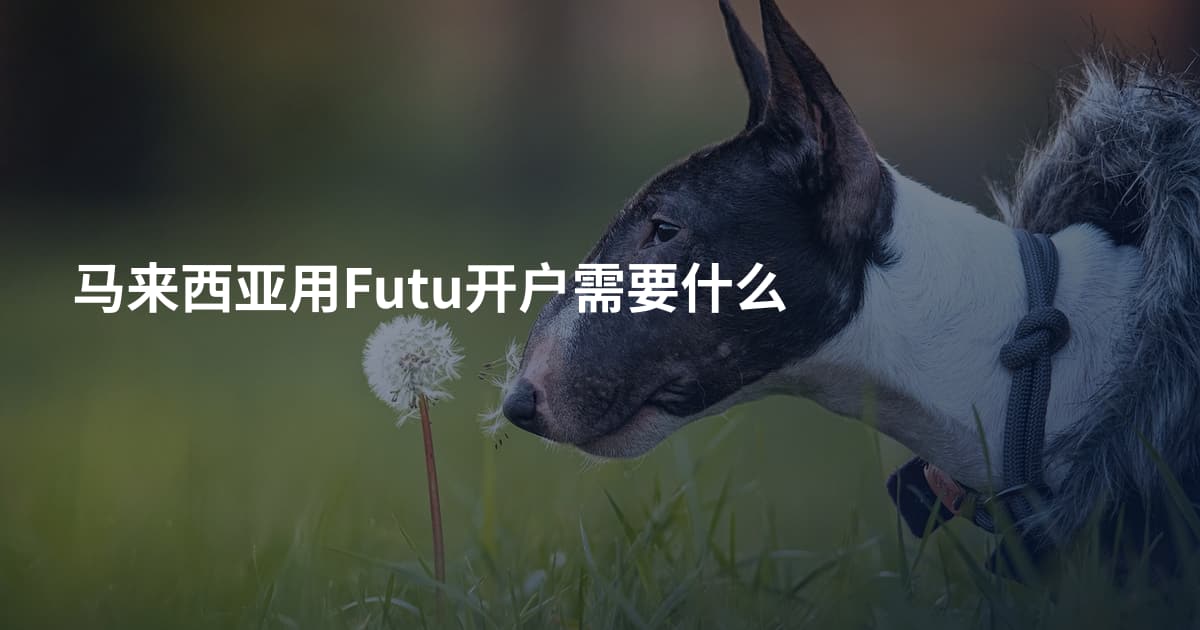 马来西亚用Futu开户需要什么