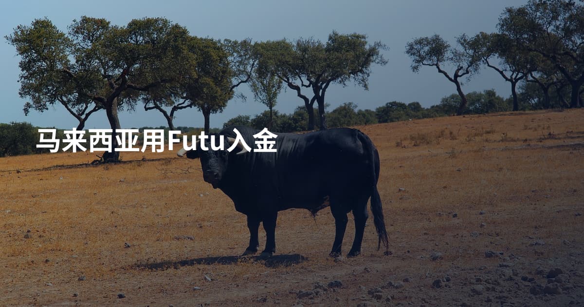 马来西亚用Futu入金