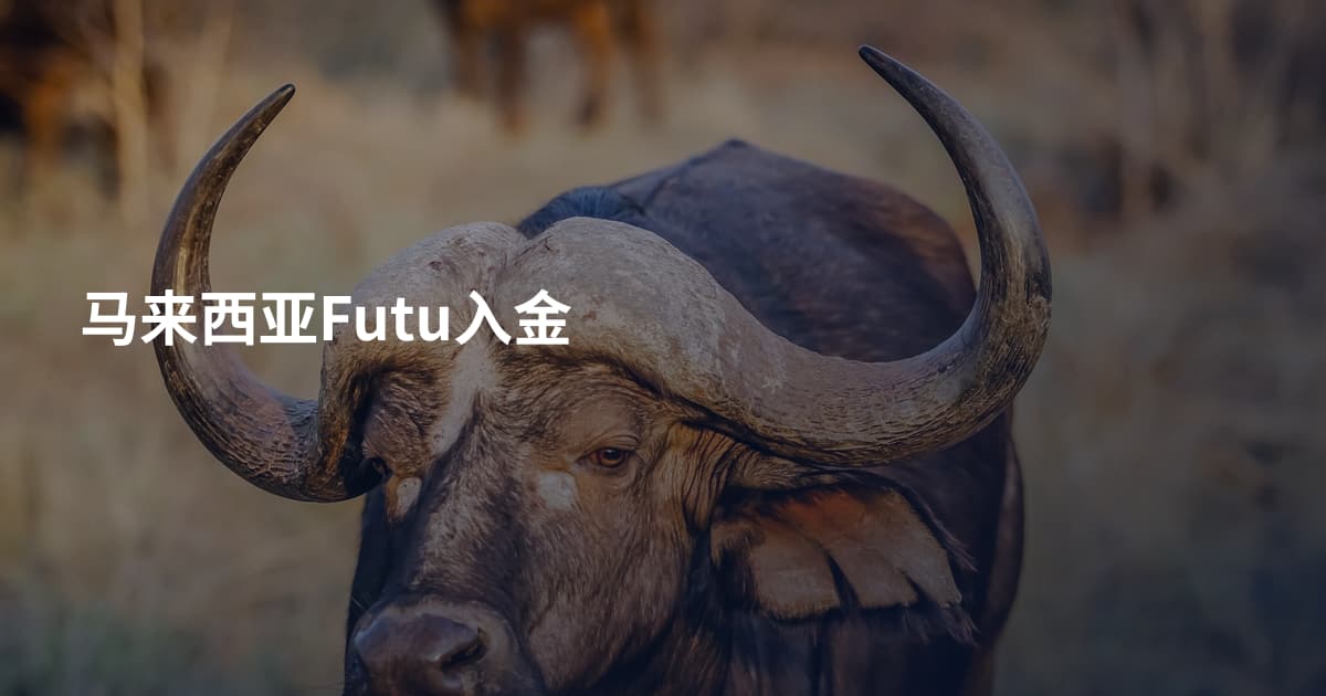 马来西亚Futu入金