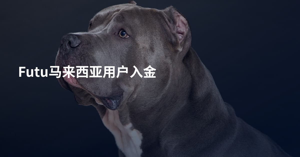 Futu马来西亚用户入金