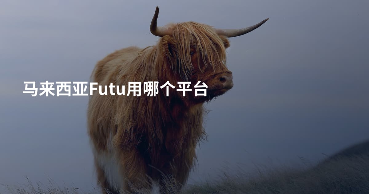 马来西亚Futu用哪个平台