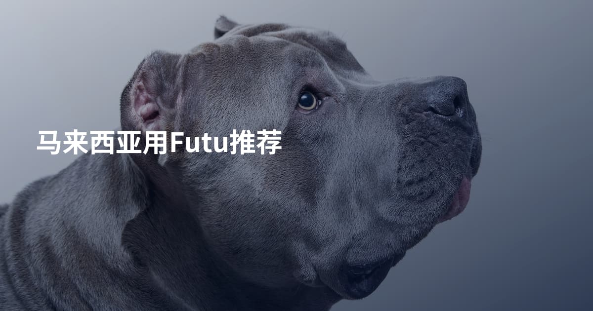 马来西亚用Futu推荐