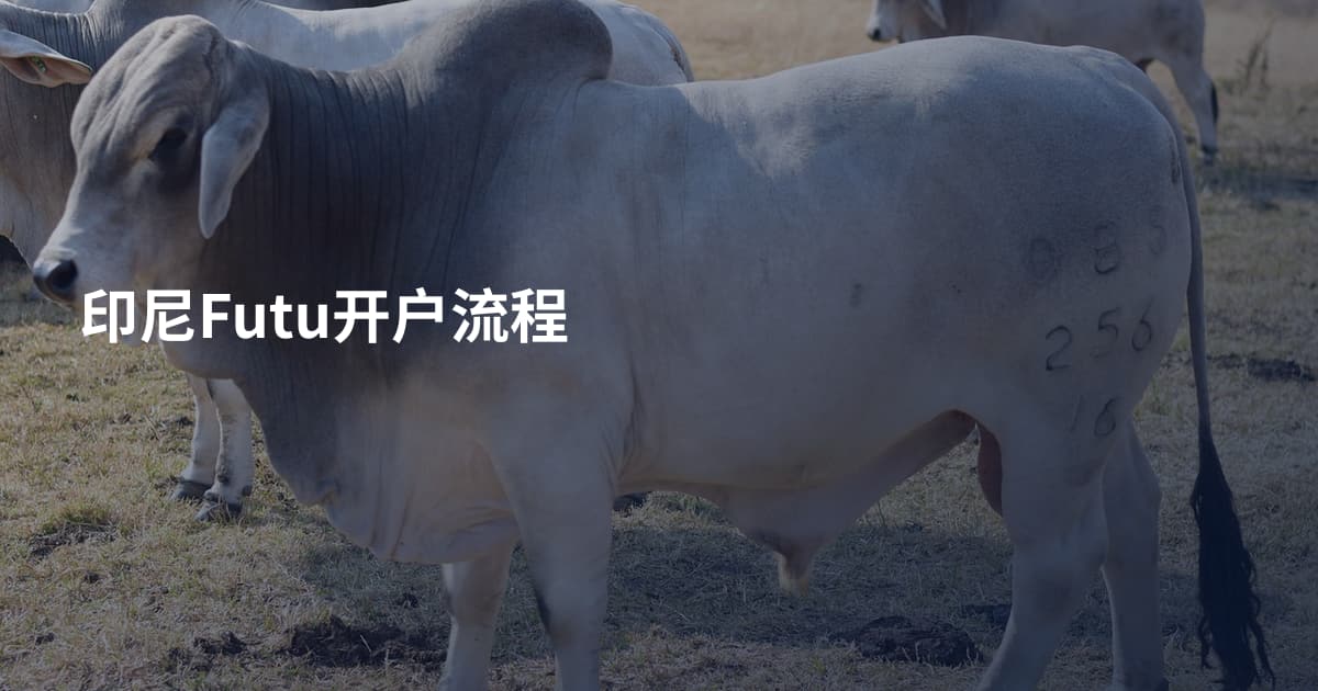 印尼Futu开户流程